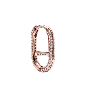 Captura de ecrã 2026-01-22 161743-Photoroom