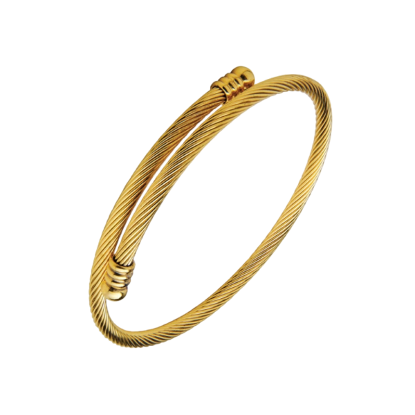 Golden Bangle Slave Hassu