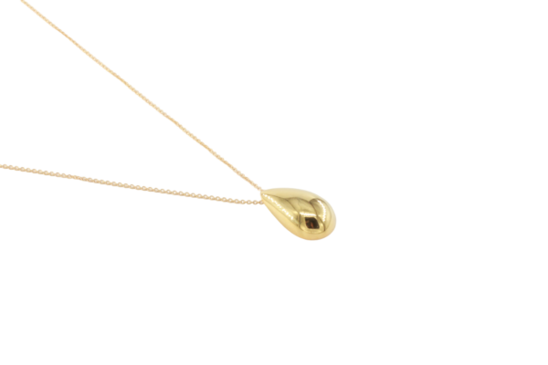 Golden Silver Drop Necklace