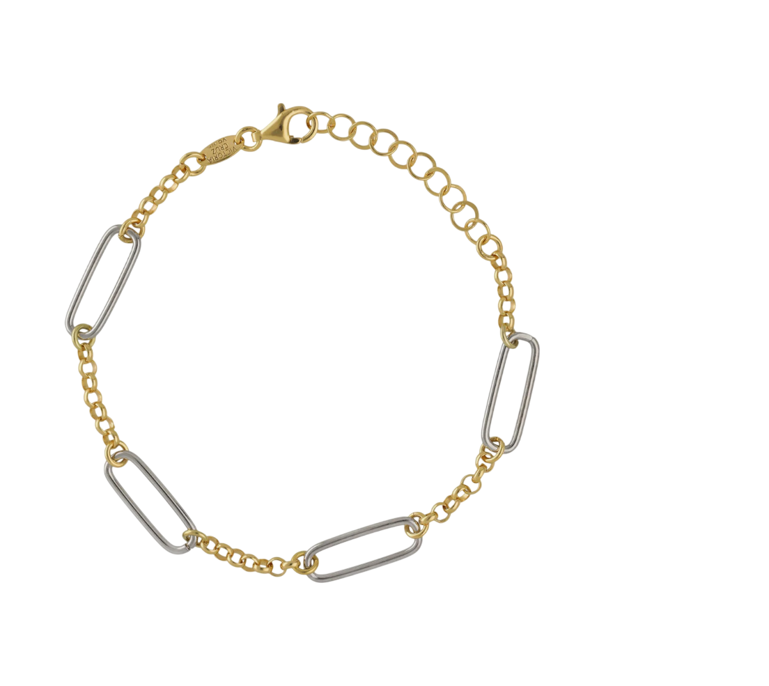 Captura de ecrã 2026-01-09 101810-Photoroom