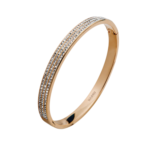 Escrava Aço My Moments Rose Hassu