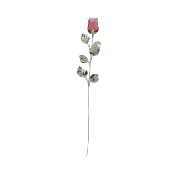 Rosa Cor-de-Rosa Bilaminado