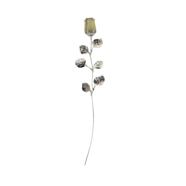 Rosa Branca Bilaminado