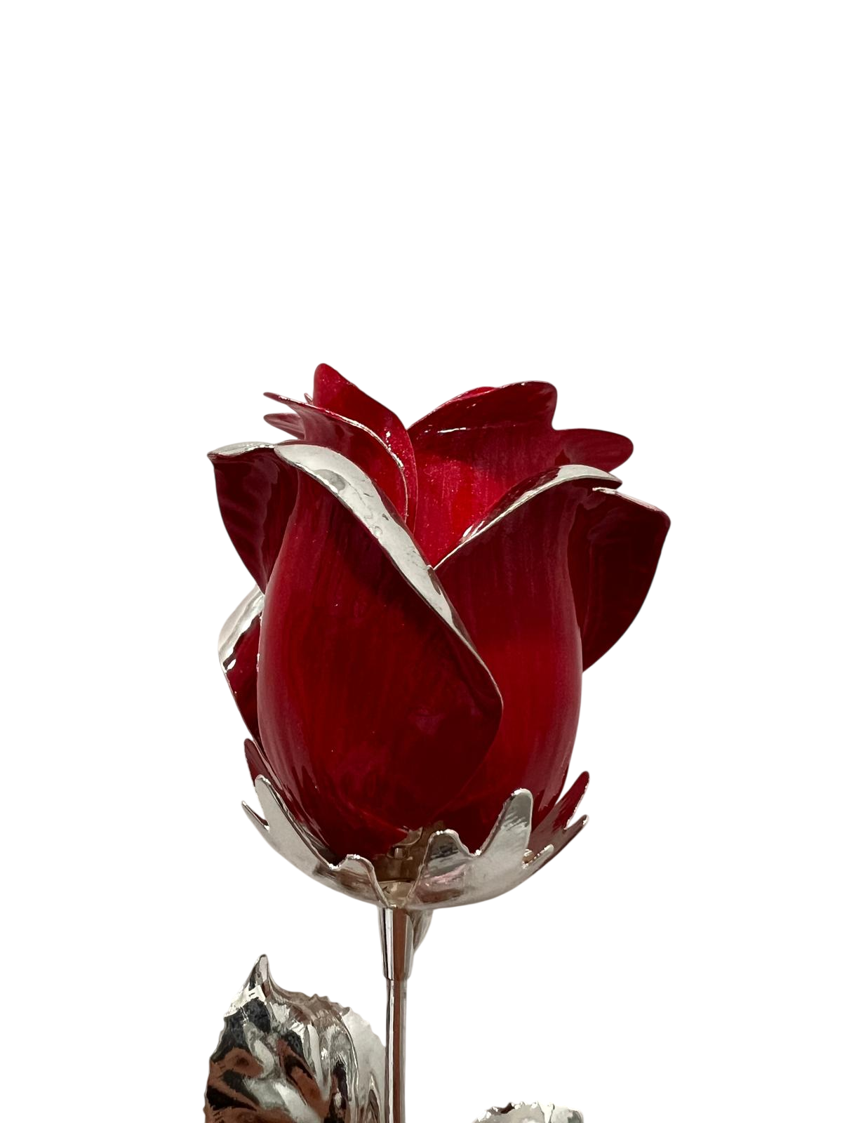 image-Photoroom – 2026-05-08T173737.132