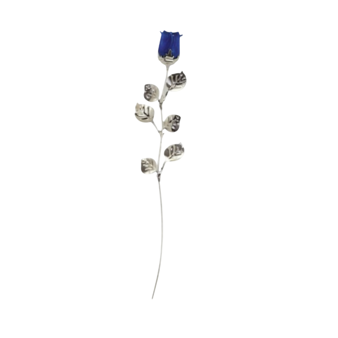 image-Photoroom – 2026-05-08T175931.229