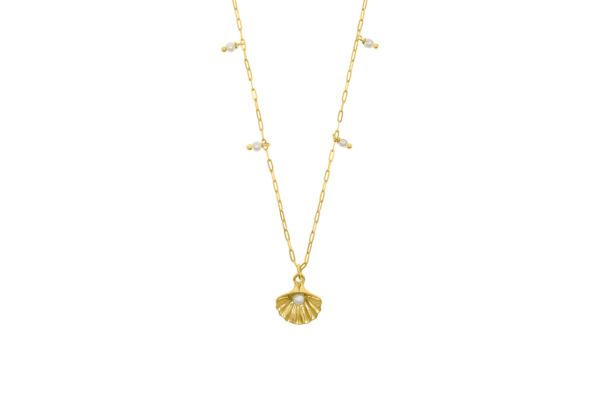 Colar Seashell II Prata Eugénio Campos