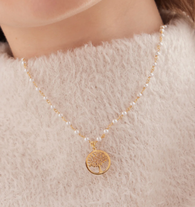 Captura de ecrã 2026-01-08 182247