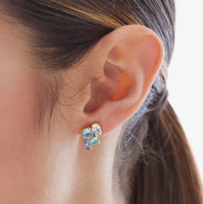 Captura de ecrã 2026-01-09 101311