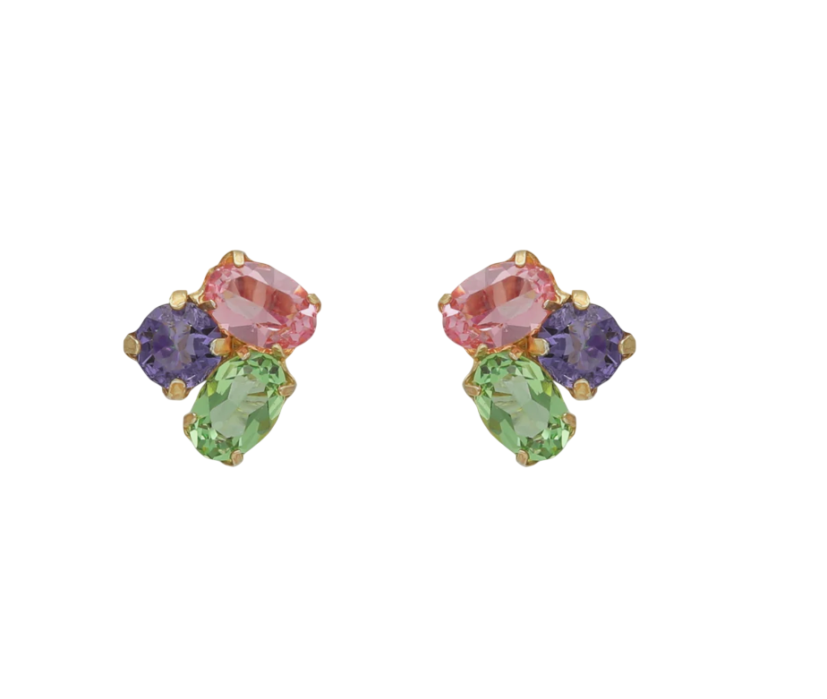 Captura de ecrã 2026-01-09 102532-Photoroom