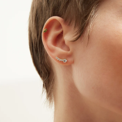 Captura de ecrã 2026-02-03 105600