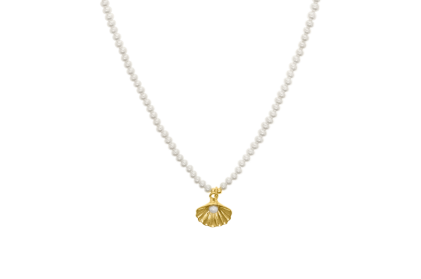 Colar Seashell Prata Eugénio Campos