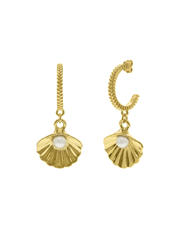 Brincos Galaxy Prata Eugénio Campos