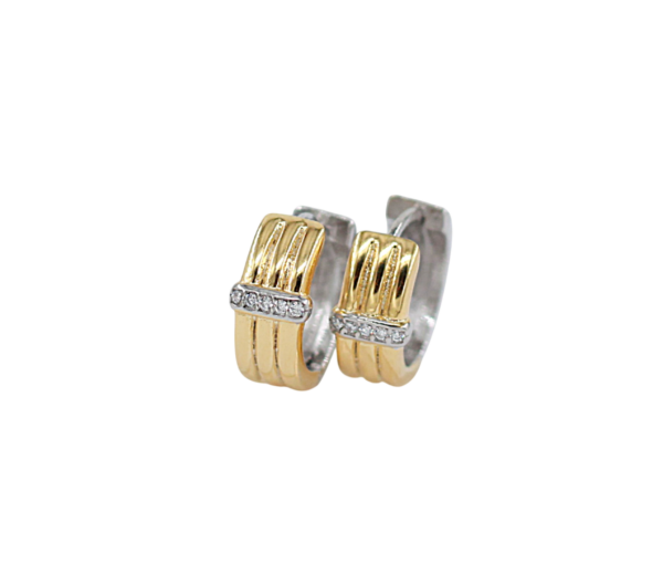 Argolas Bicolor Prata