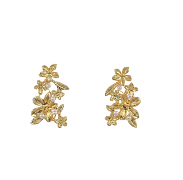 Brincos Pérolas Prata