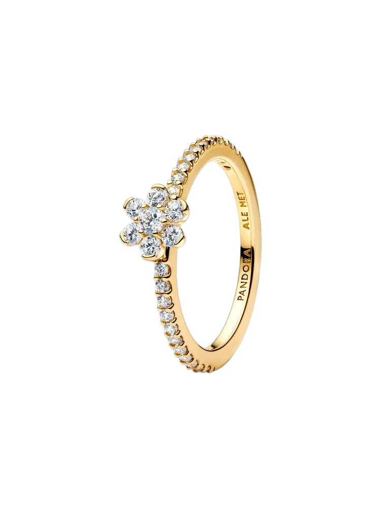 164499C01_RGB-Photoroom