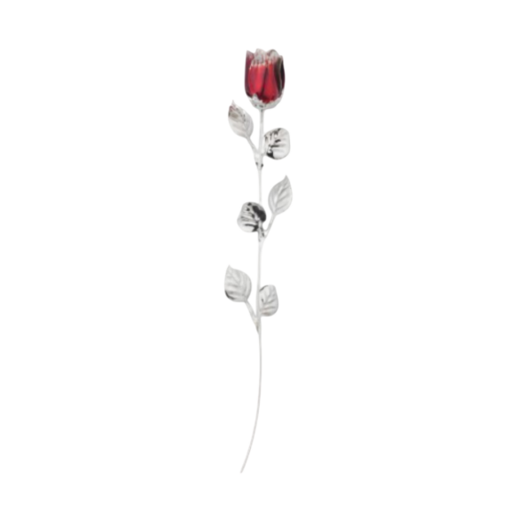 Rosa Bordeaux e Branco Banho de Prata