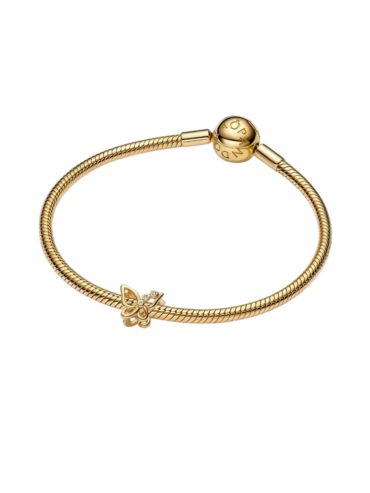 764369C01_V3_RGB-Photoroom