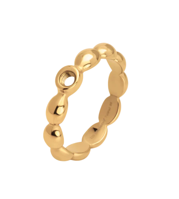 Captura de ecrã 2026-03-30 113339-Photoroom