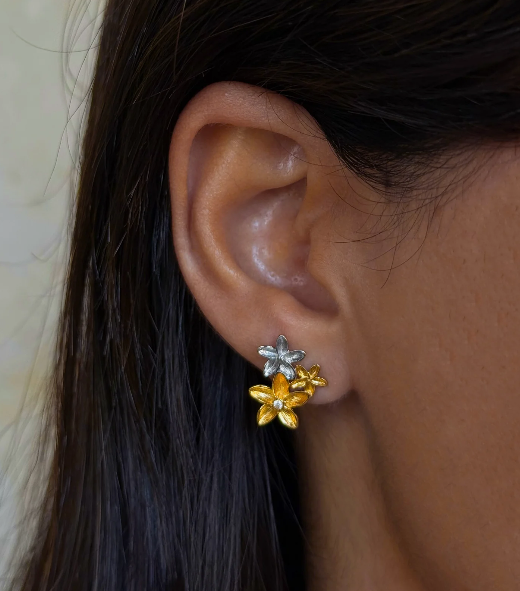 Captura de ecrã 2026-03-31 173355