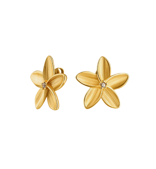 image-Photoroom (51)