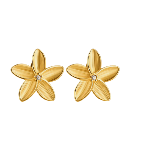 image-Photoroom (52)