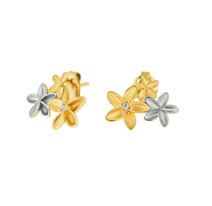 image-Photoroom (53)