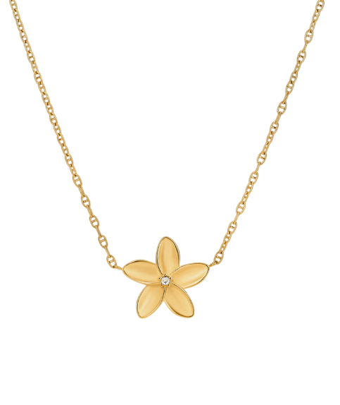 image-Photoroom (59)