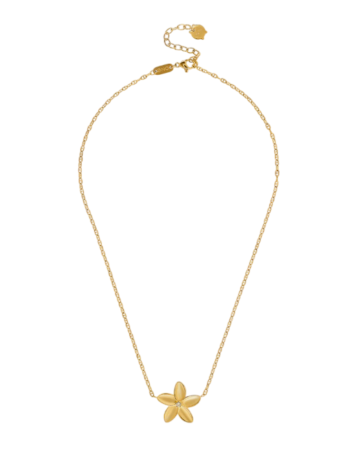 image-Photoroom (60)