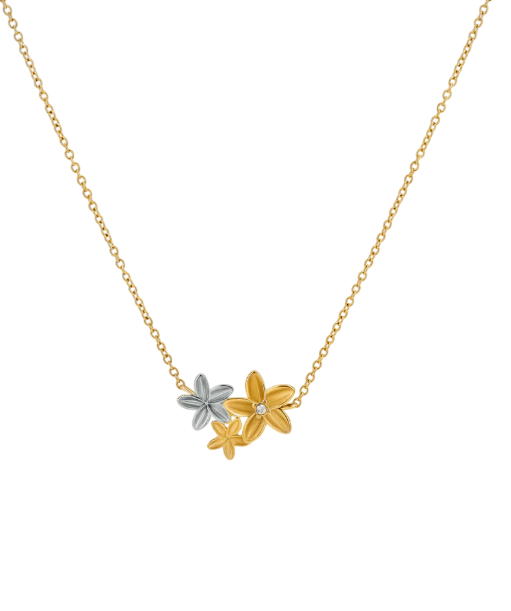 image-Photoroom (63)