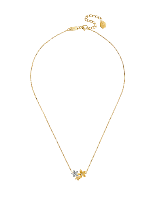 image-Photoroom (64)