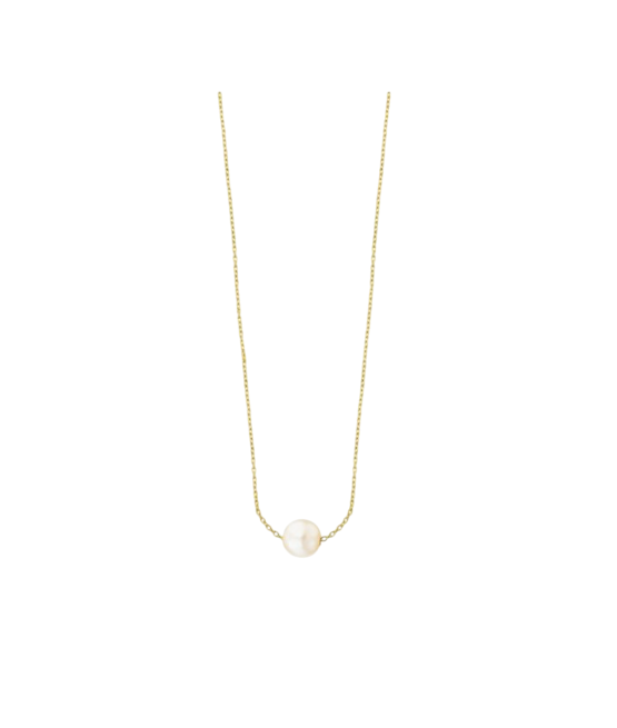 Captura de ecrã 2026-04-20 172838-Photoroom