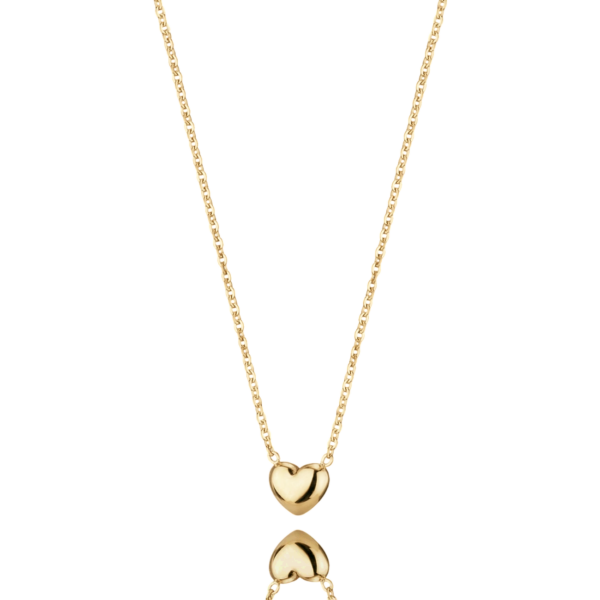Colar Coração Aço Hassu
