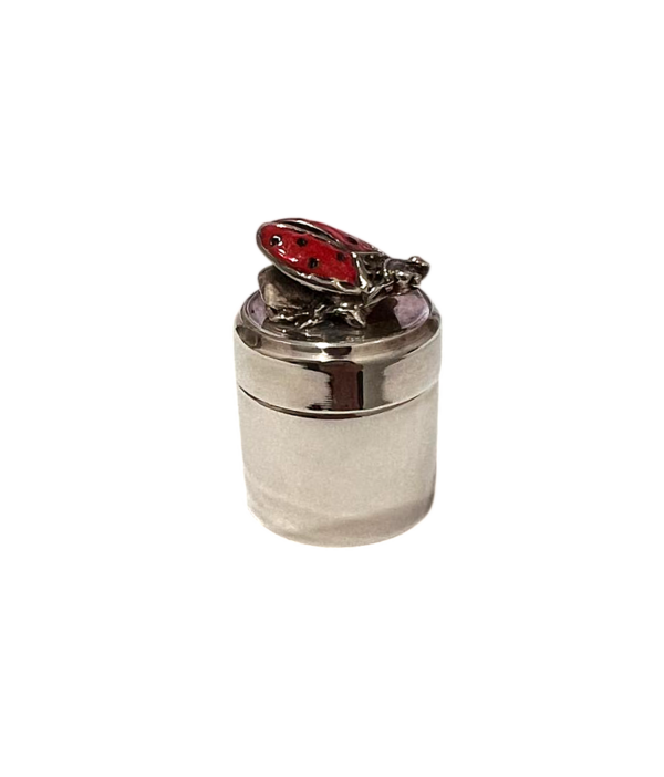 Caixa Joaninha Prata