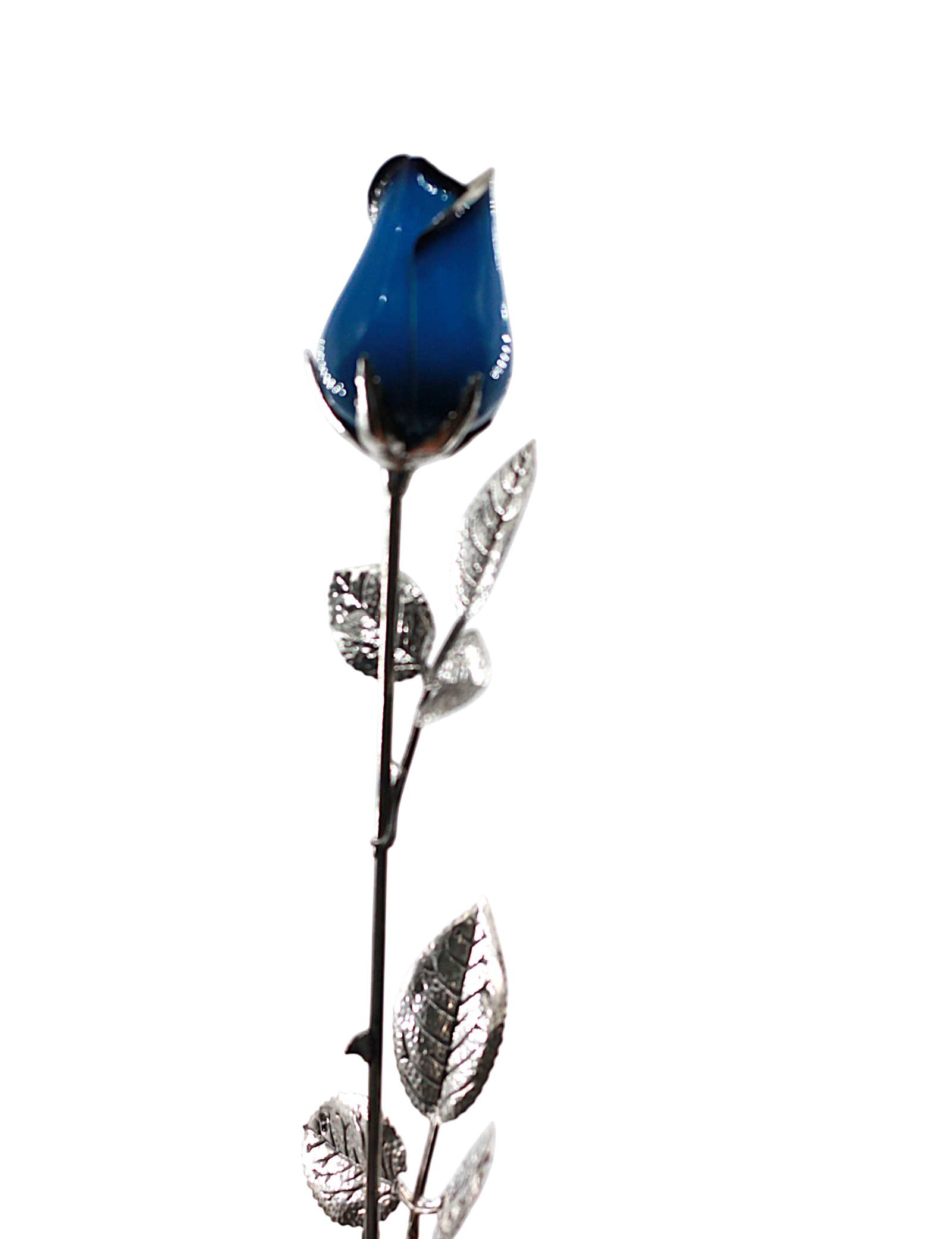 IMG_6931-Photoroom