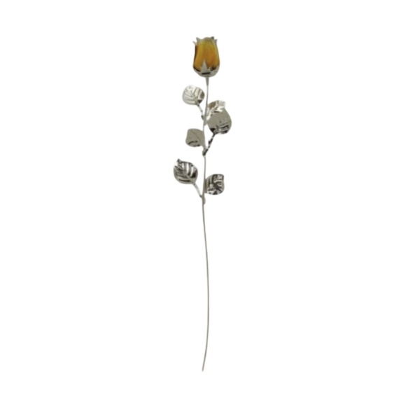 Rosa Amarelo Scarlatta Bilaminado