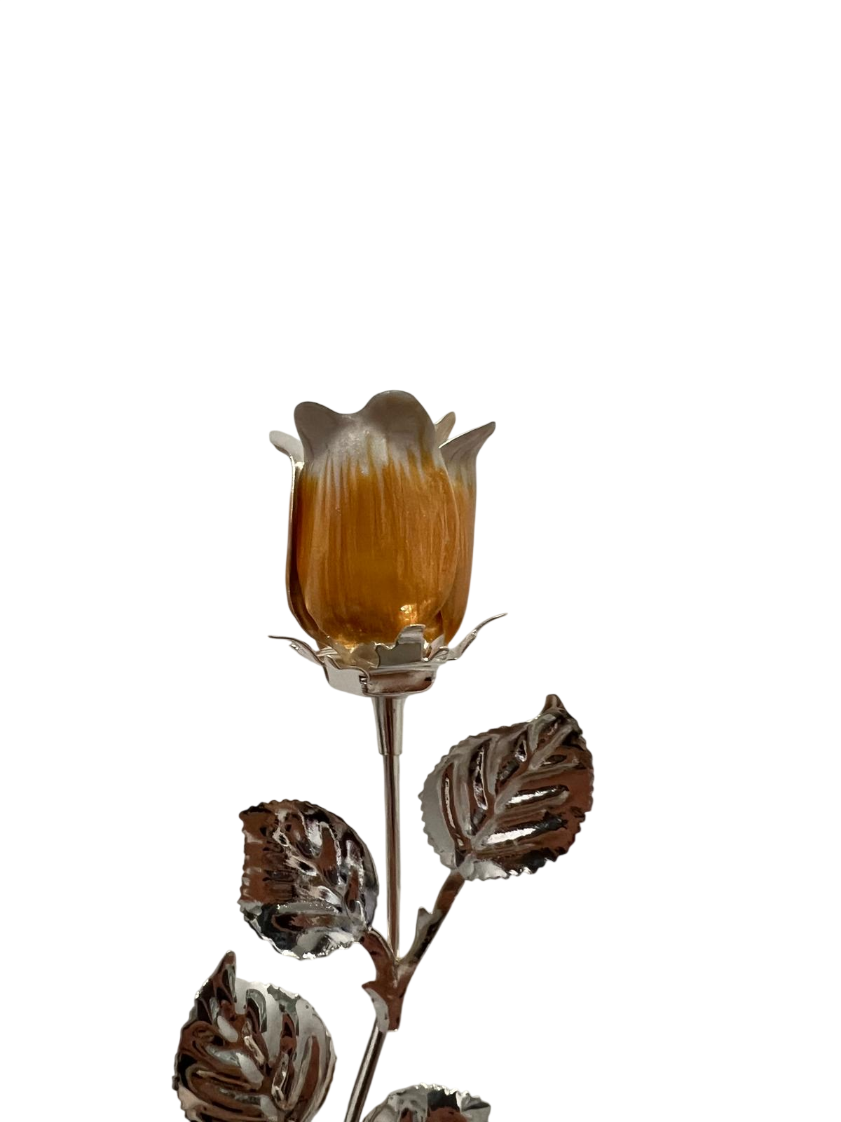 image-Photoroom – 2026-05-08T175228.563