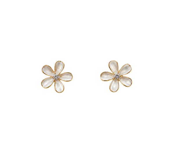 Brincos FLor Prata