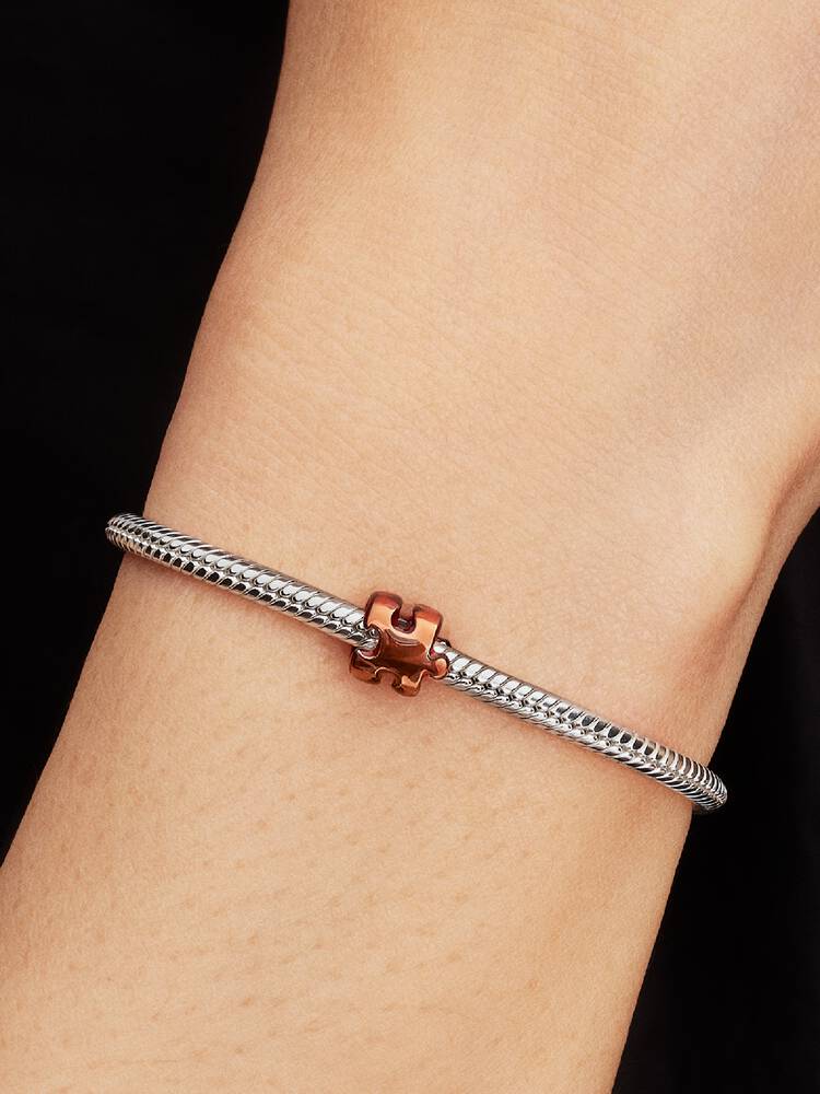 Puzzle Pandora